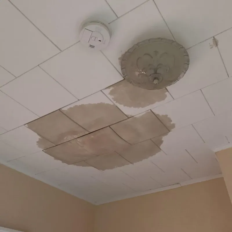 Ceiling Water Damage Repair in Herrin, IL