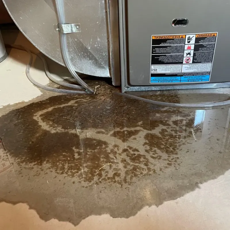 Pipe Burst and Leak Restoration in Herrin, IL