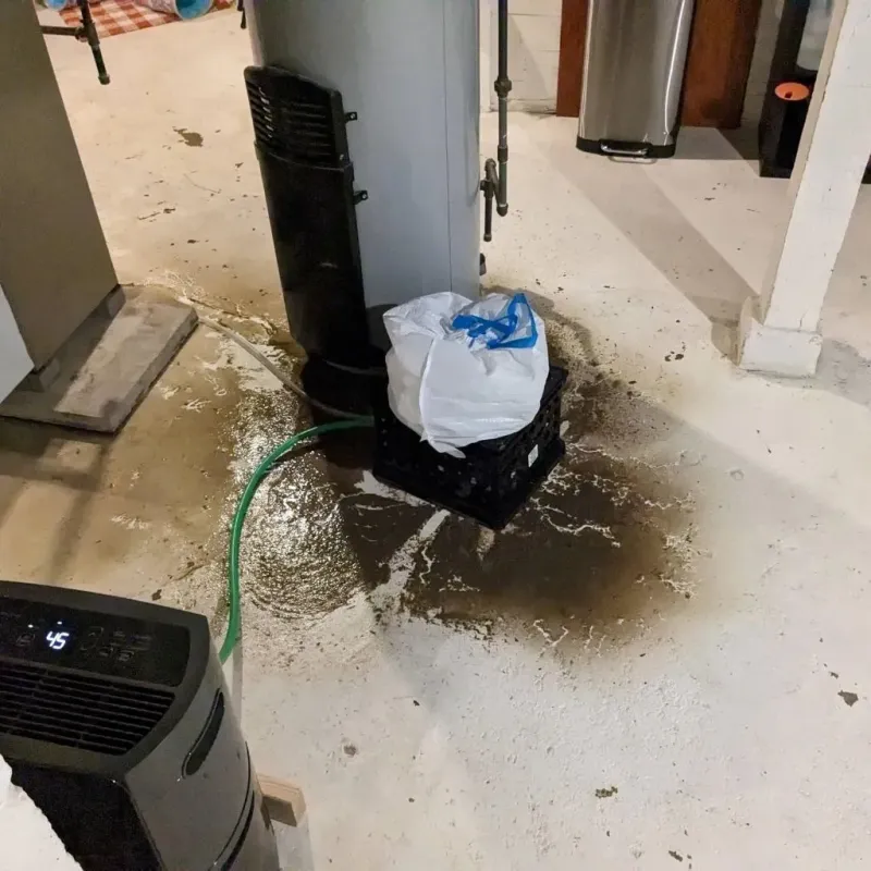 Sewage Backup Cleanup Service in Herrin, IL